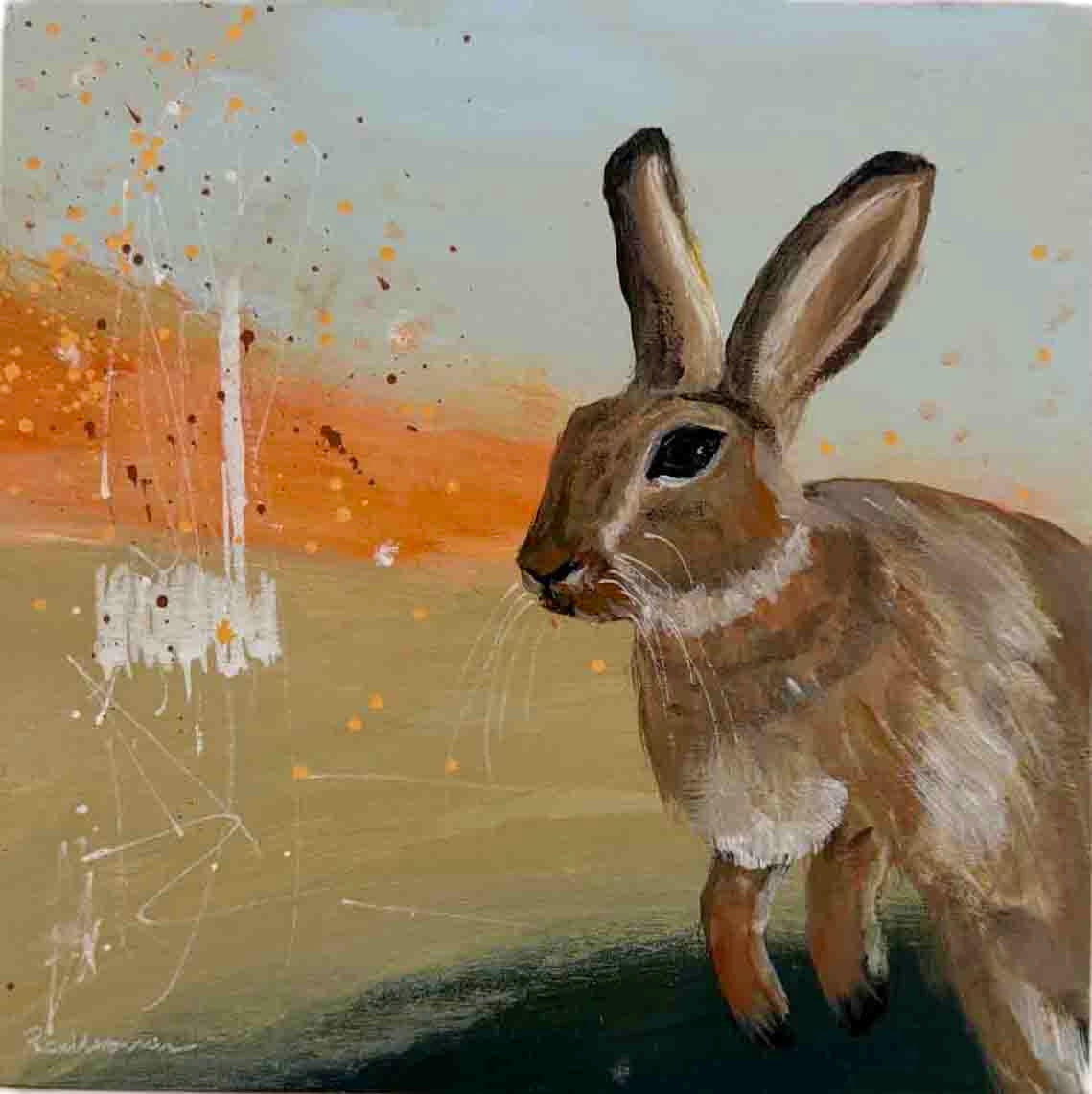 Mini Rabbit