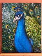 My Neighbor the Peacock