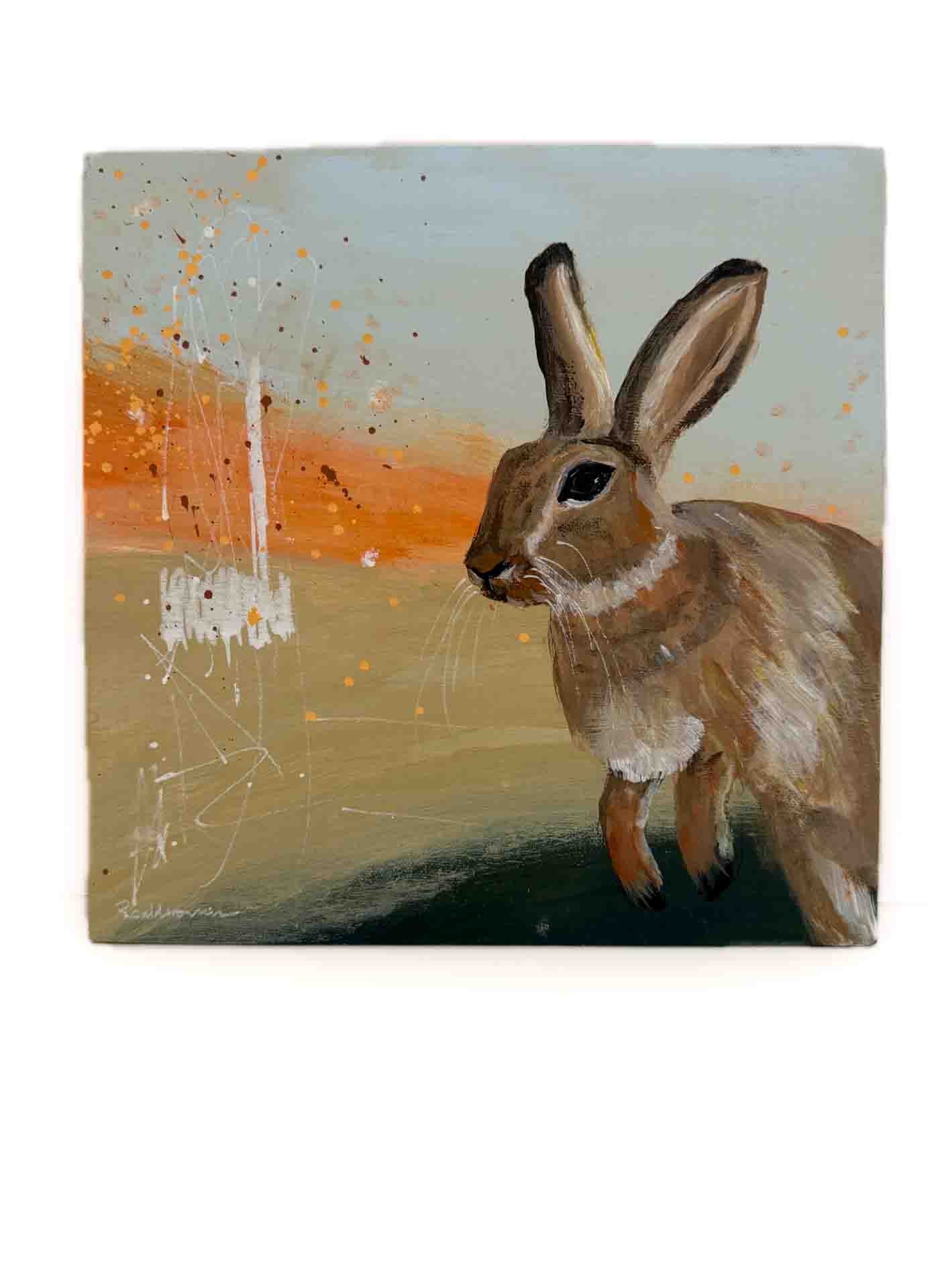 Mini Rabbit